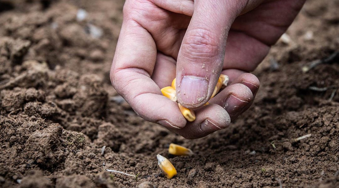 Helen speaks to us on The Power of the Seed