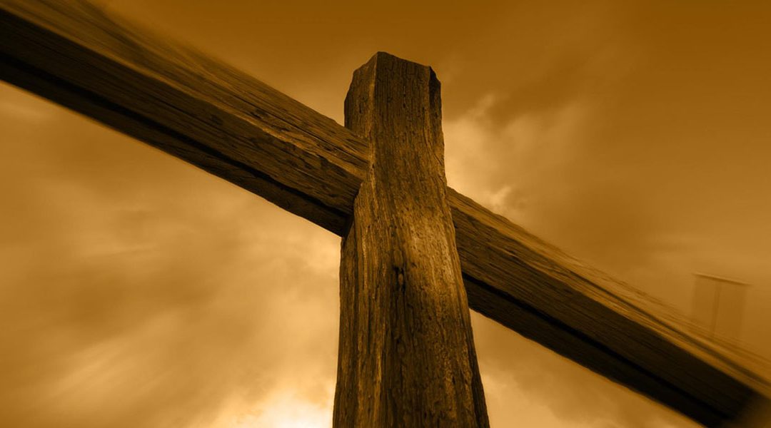 Rob speaks to us on the last in our series on trees – The Cross