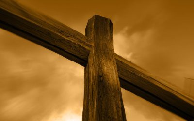 Rob speaks to us on the last in our series on trees – The Cross