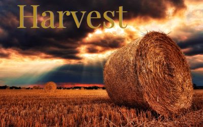 Three messages on Harvest