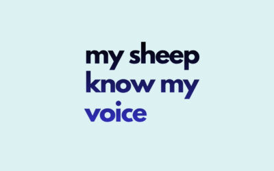 Rob’s Message: My Sheep Know My Voice